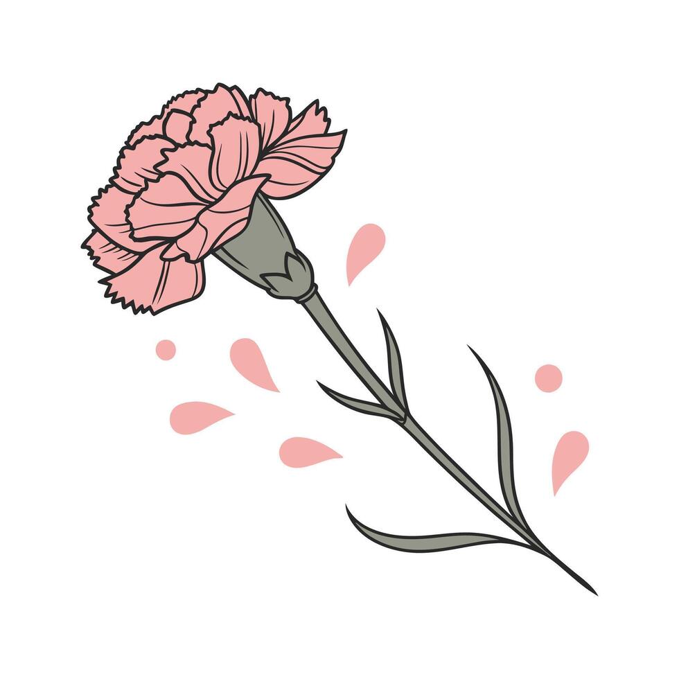 Elegant Carnation Pink on White vector