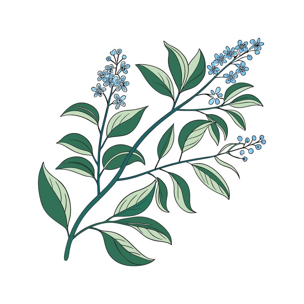 Stylish Ceanothus Flower Design vector