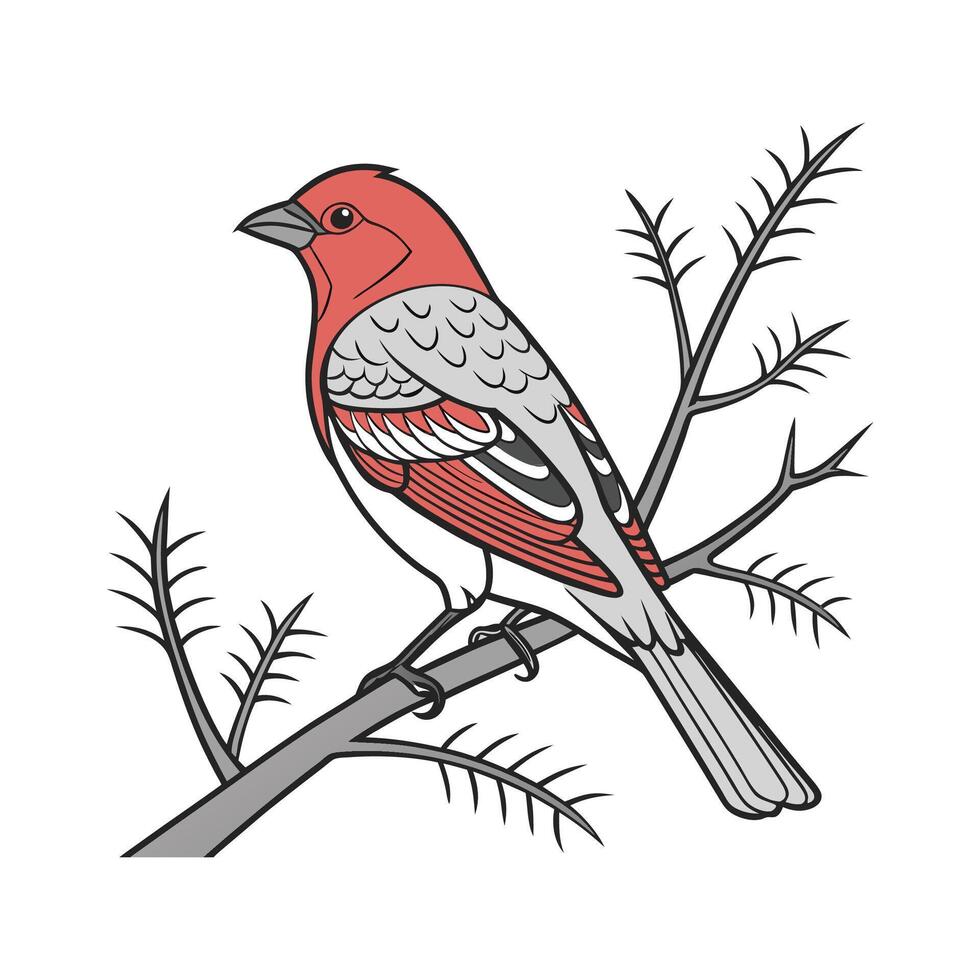 Charming Cedar Sage on Clean White vector