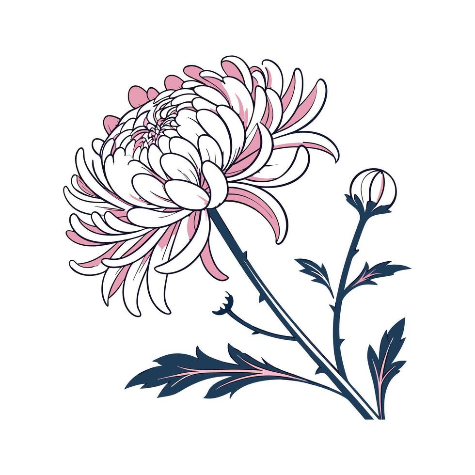 Chrysanthemum Morifolium Bright Design vector