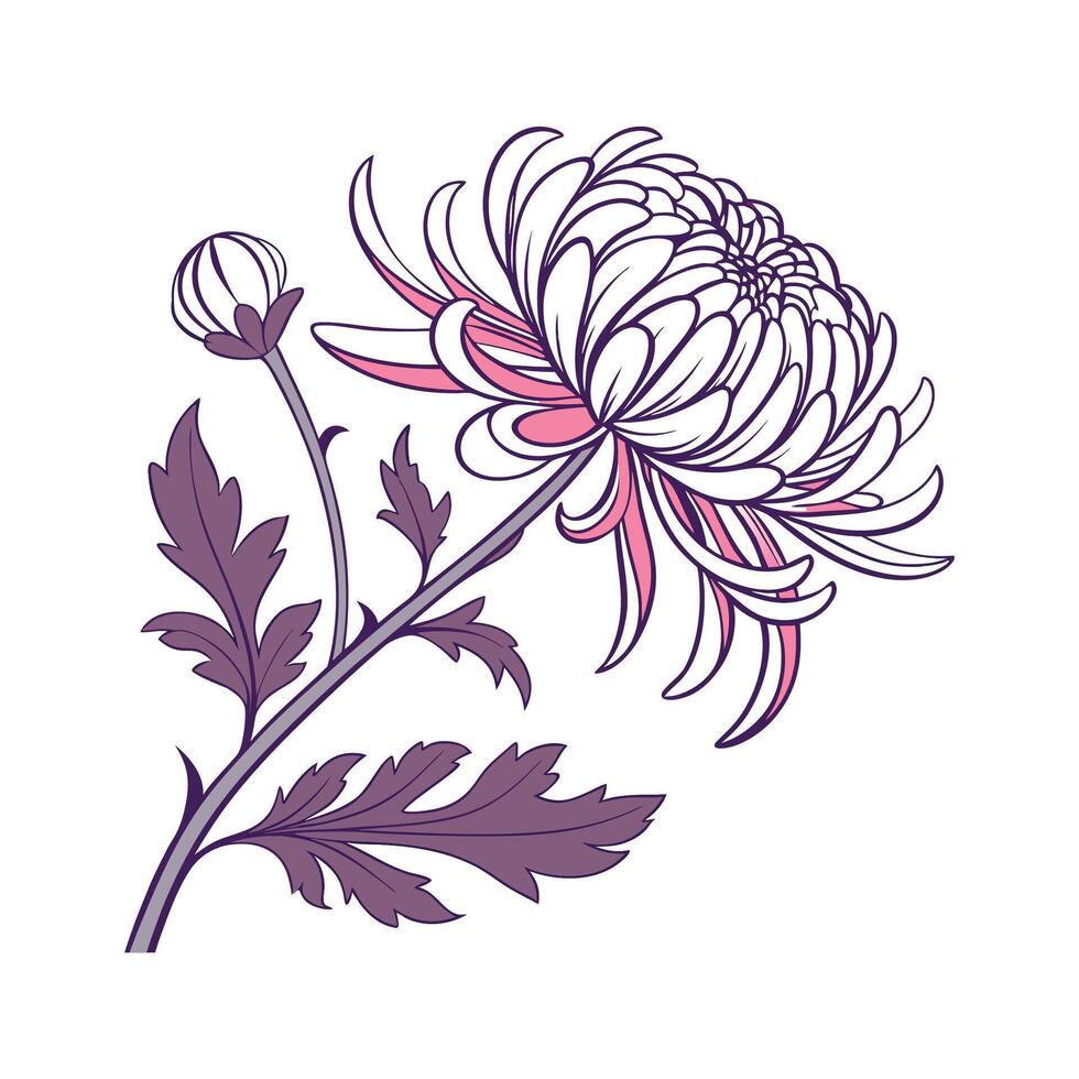 Breathtaking Chrysanthemum Flower Design vector