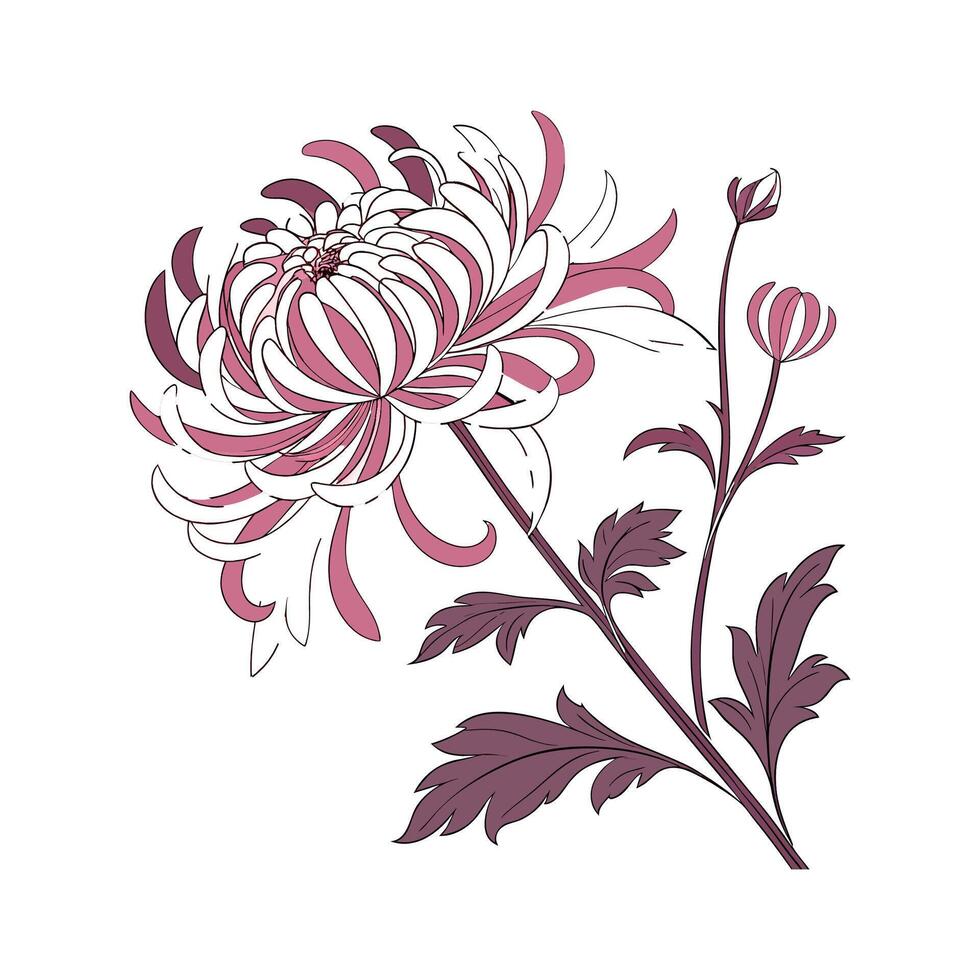 Chrysanthemum Bright Flower Design vector