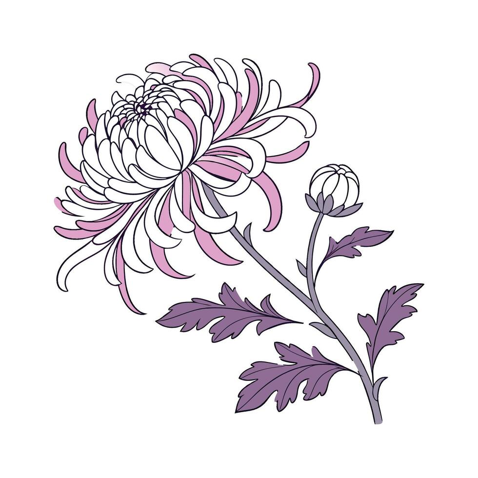 Stylish Chrysanthemum Flower Design vector