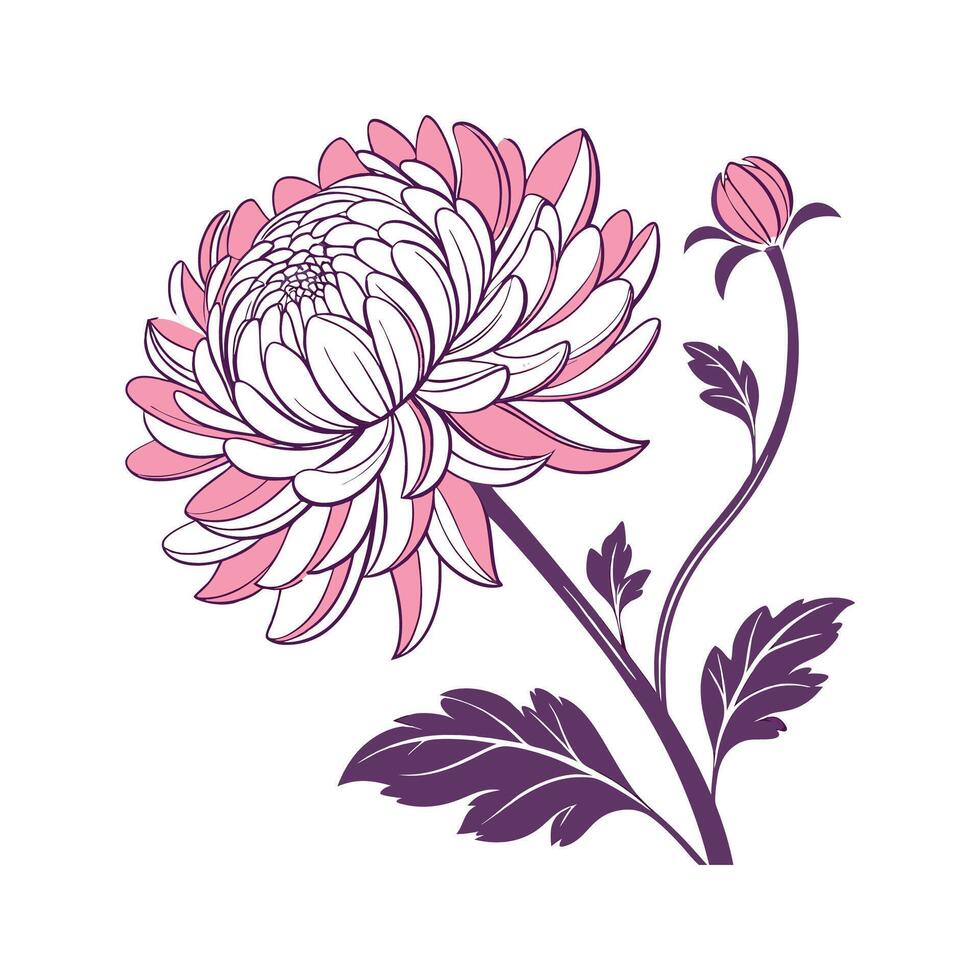 Elegant Chrysanthemum Flower Design. vector