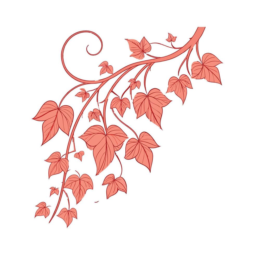 Charming Coral Vine on Clean White vector