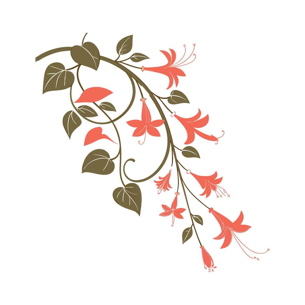 Coral Vine Bright Flower Design vector