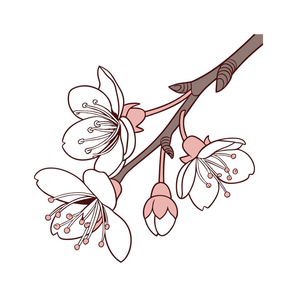 Bright Currant Flower Design on White vector