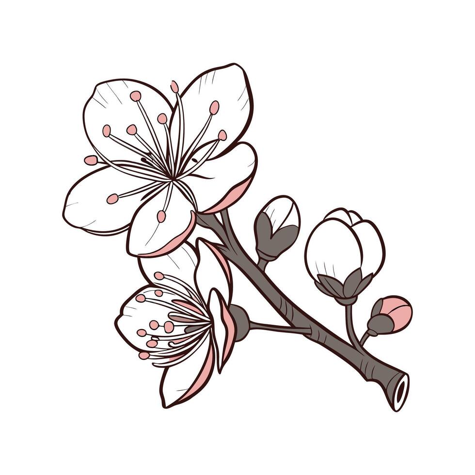Vivid Currant Flower Illustration on White vector
