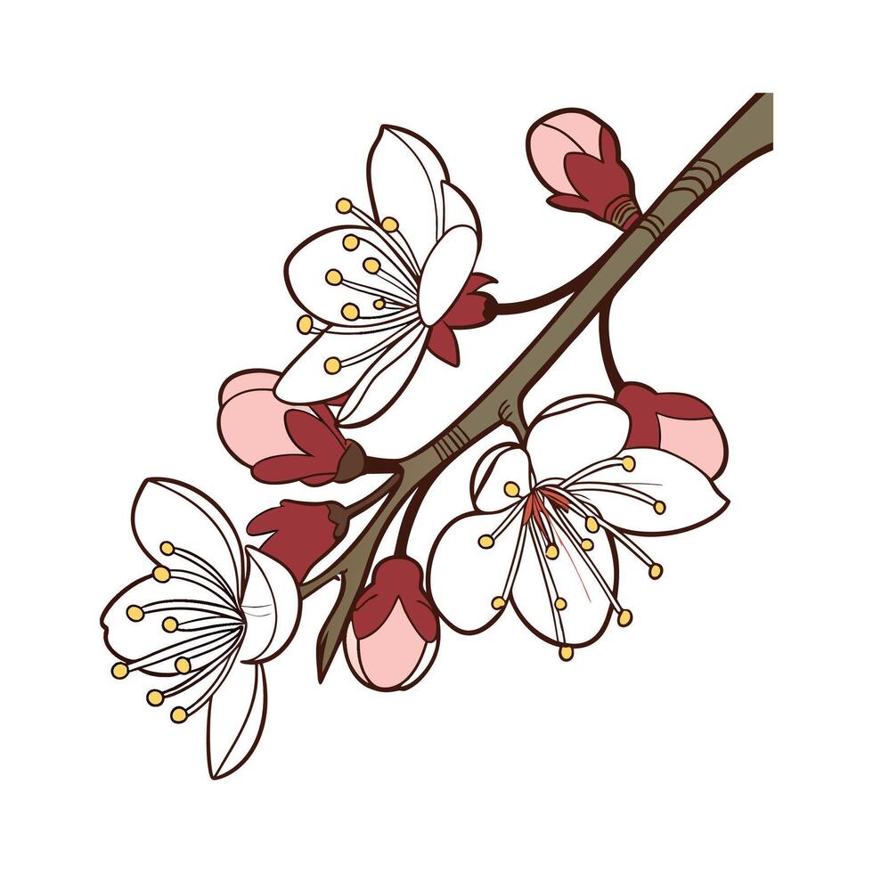 Elegant Currant Flower Display on White vector