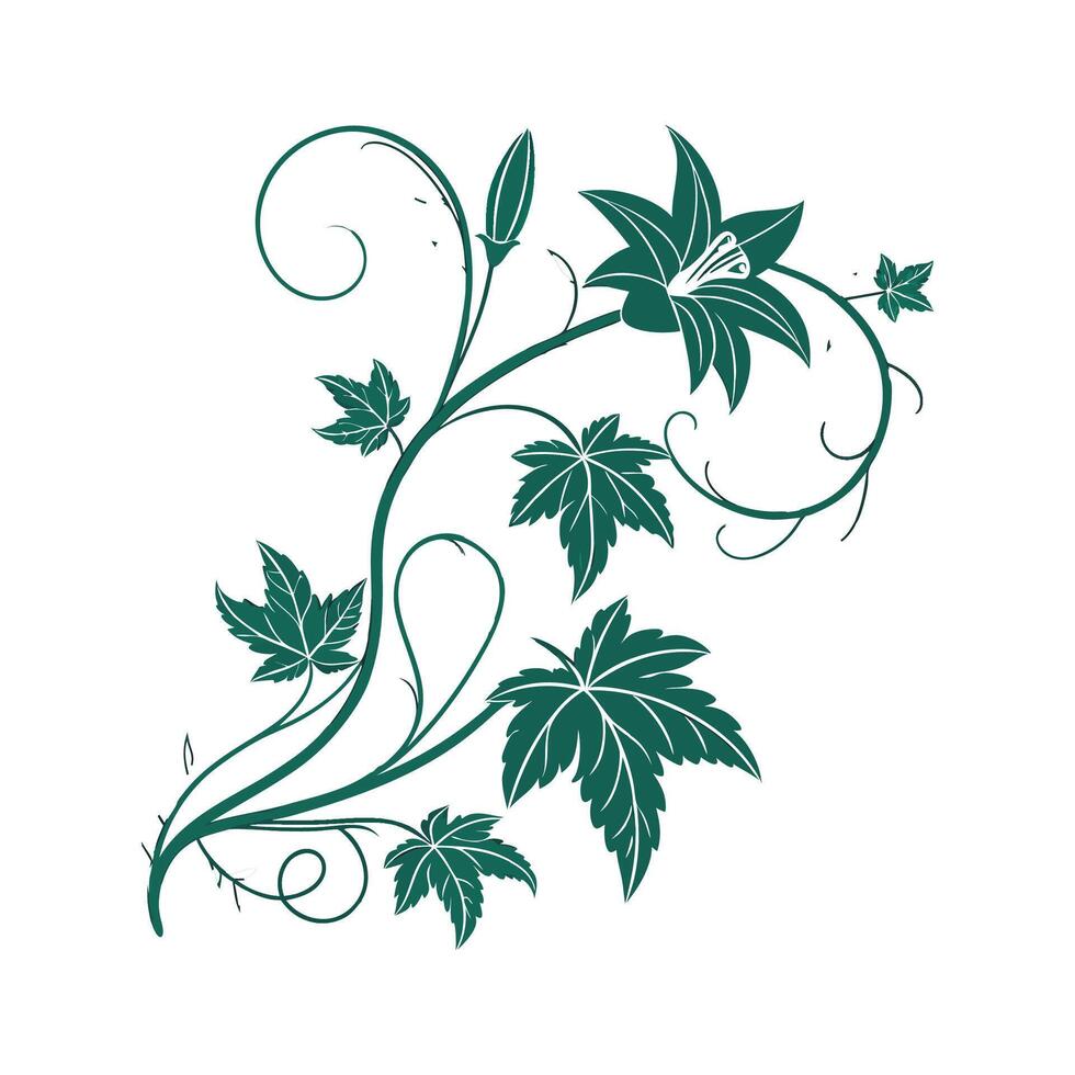 Vivid Cypress Vine Design on White Background vector