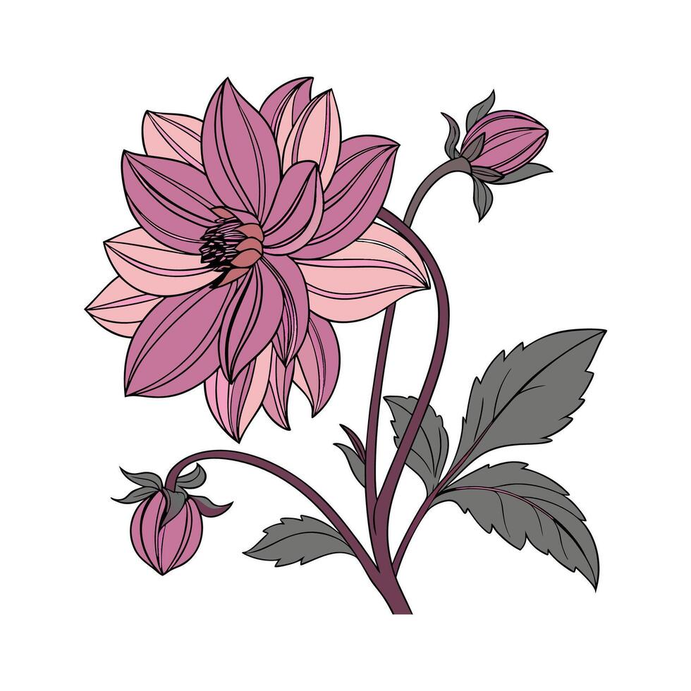 Stunning Dahlia Imperialis Floral Art vector
