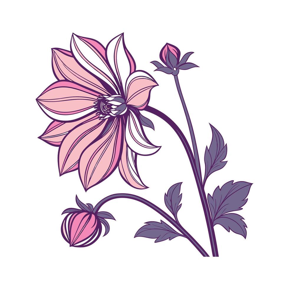 Charming Dahlia Imperialis Illustration on White vector