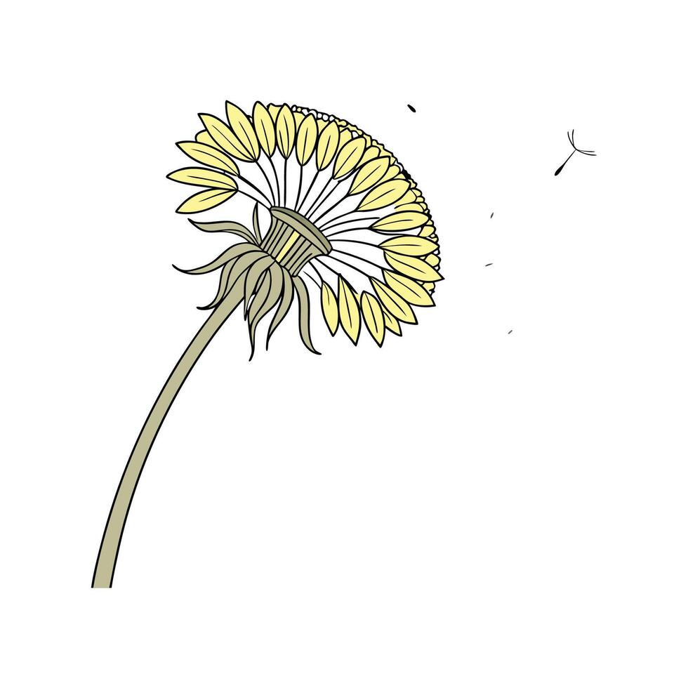 Magical Dandelion Display on Bright White vector