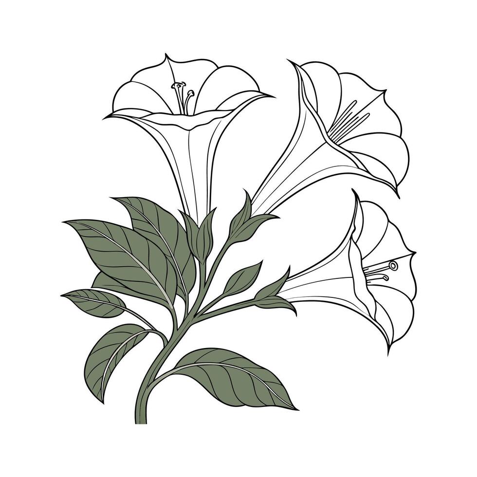 Vivid Datura Design on Clean White vector