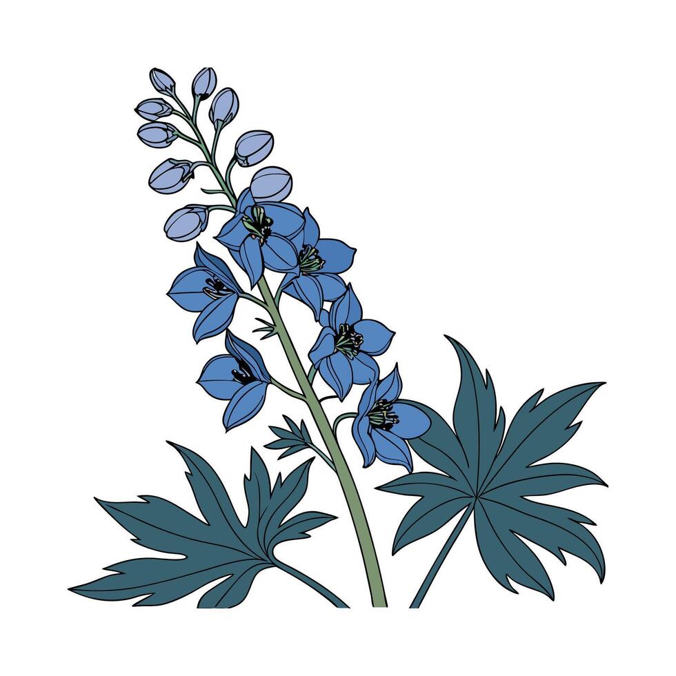 Elegant Delphinium Floral Display on White vector