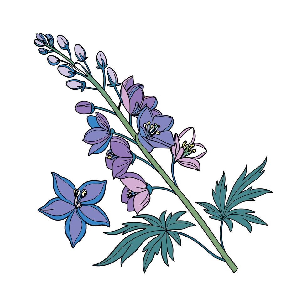 Vivid Delphinium Flower Design on White vector