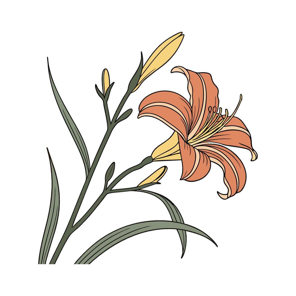 Elegant Daylily Design on Clean White vector