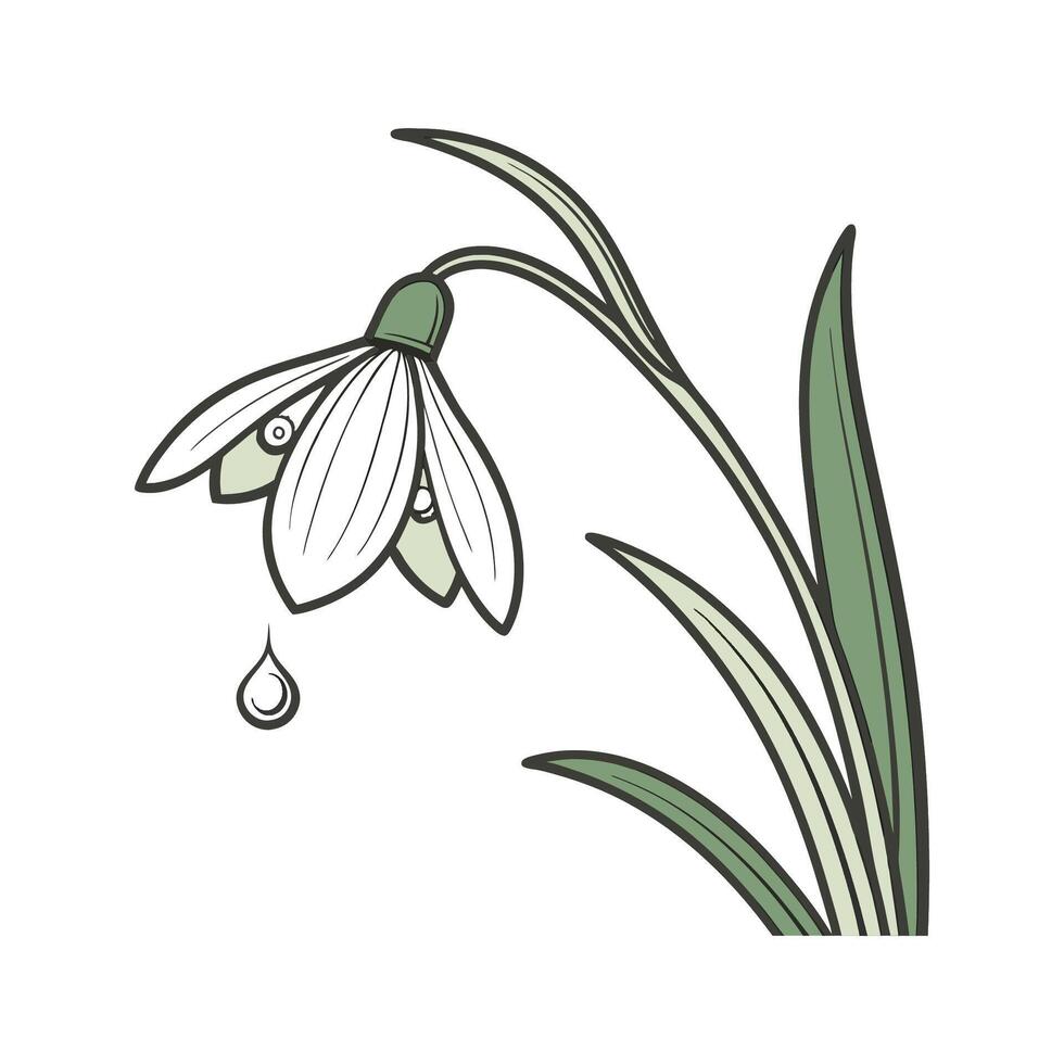 Vivid Dewdrop Flower Art on Bright White vector