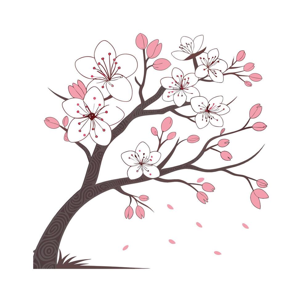 Charming DoubleFlowering Cherry Design on White vector