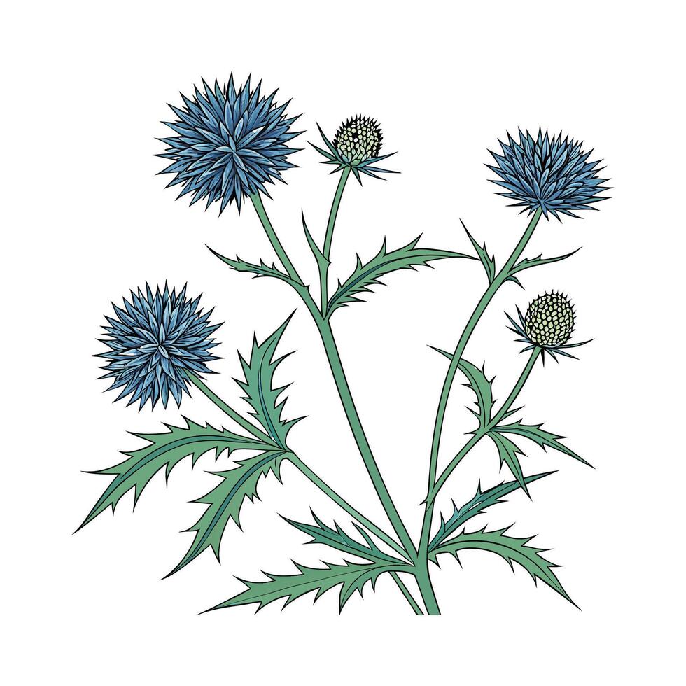 Vivid Echinops Design on Bright White vector