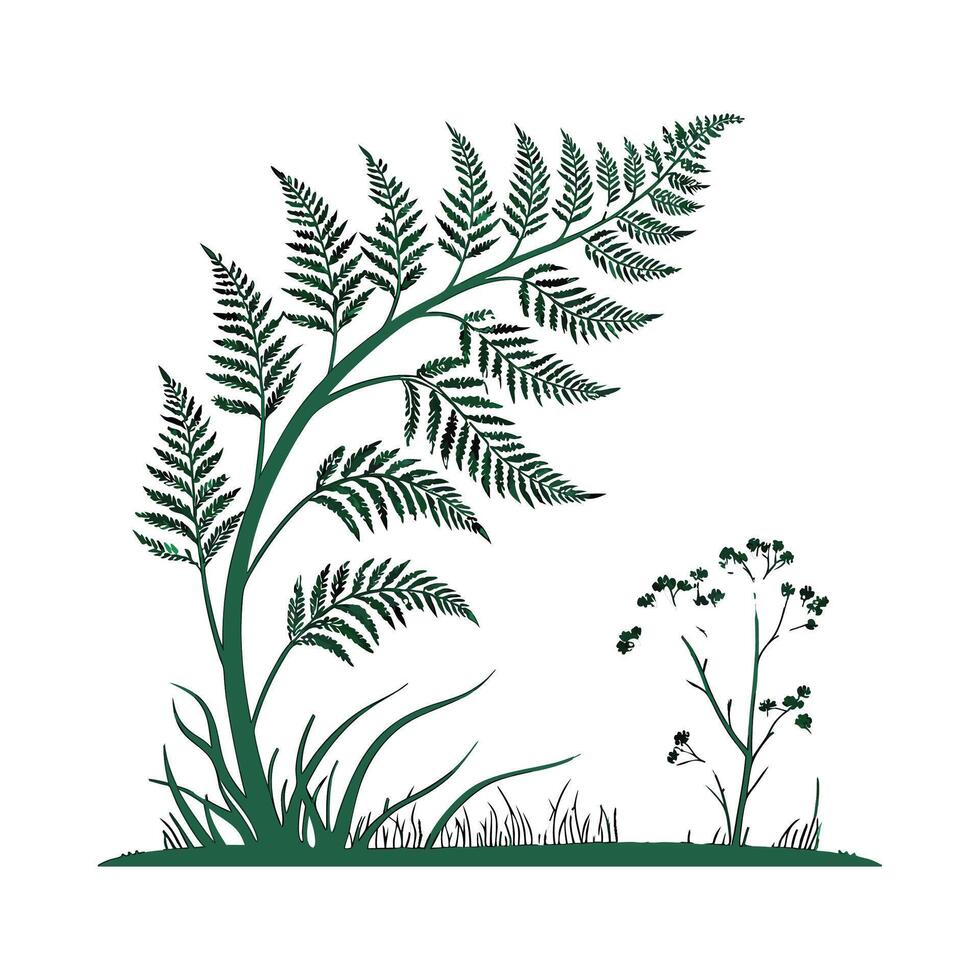 Vivid Fernbush Floral Design on Bright White vector