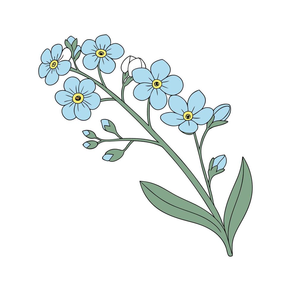 Lovely ForgetMeNot Design on White vector