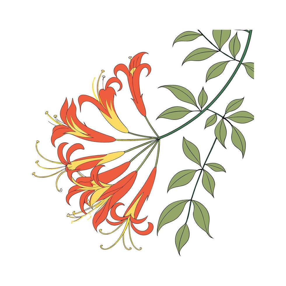 Stunning Flame Vine Design on Bright White vector