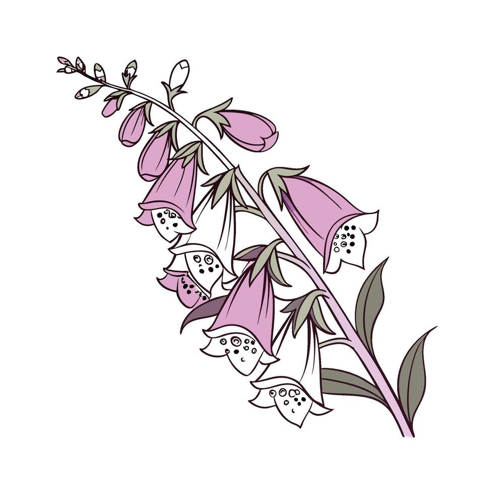 Charming Foxglove Floral Art on White vector