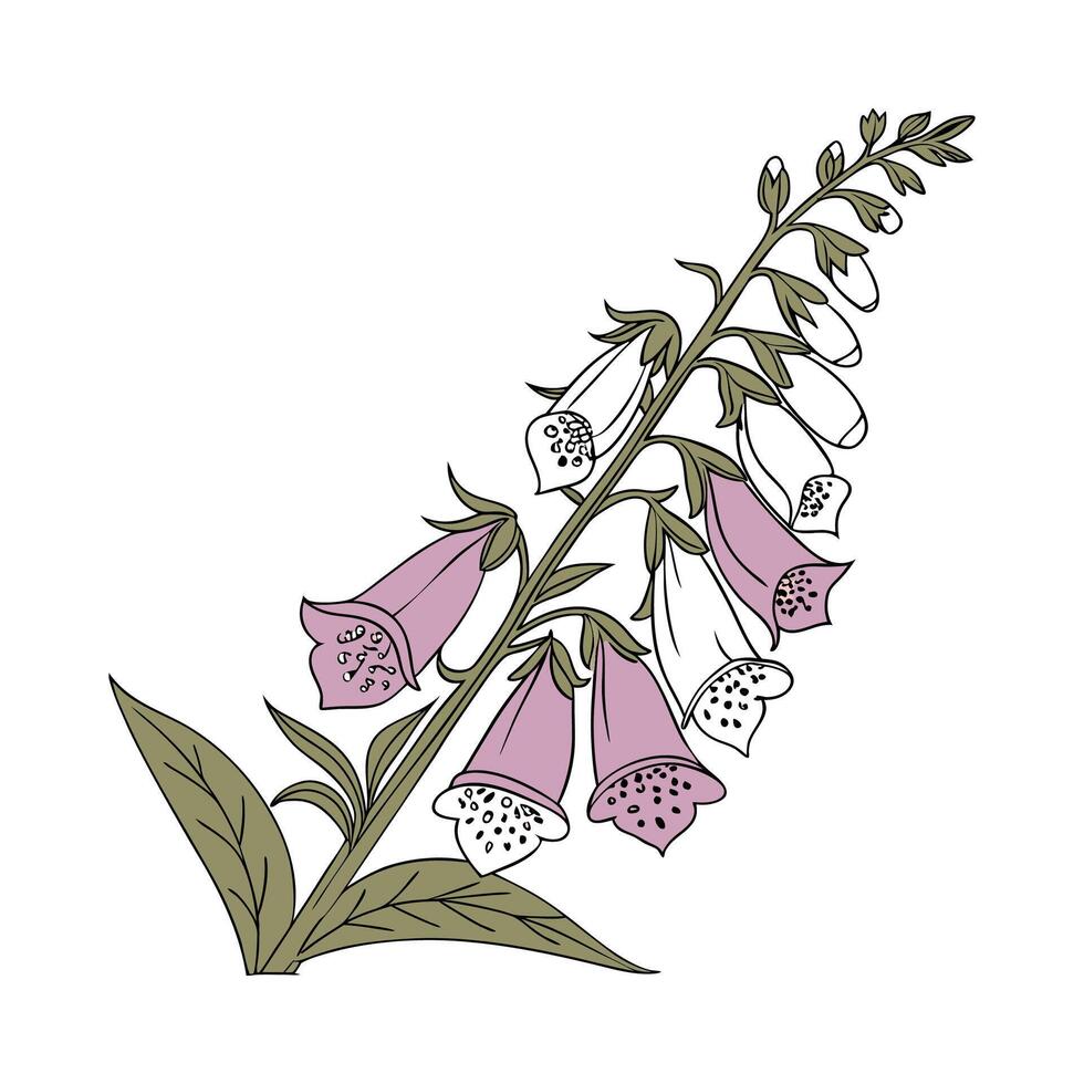 Charming Foxglove Flower Design on Clean White vector