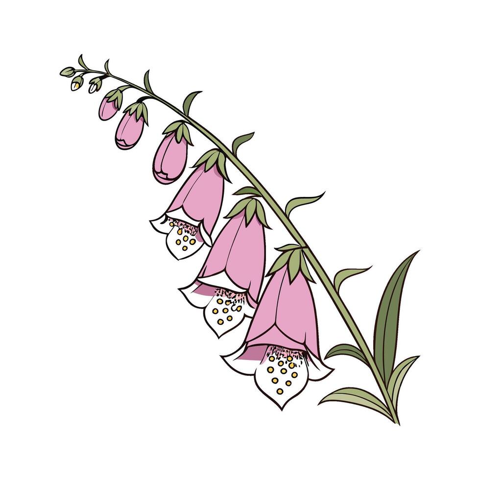 Elegant Foxglove Floral Design on White. vector