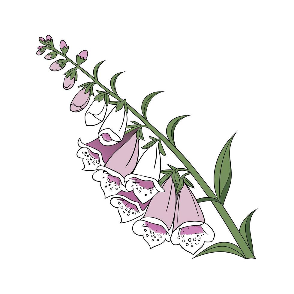 Vivid Foxglove Flower Design on Clean White. vector