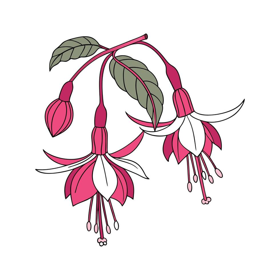 Vivid Fuchsia Flower Design on Clean White vector