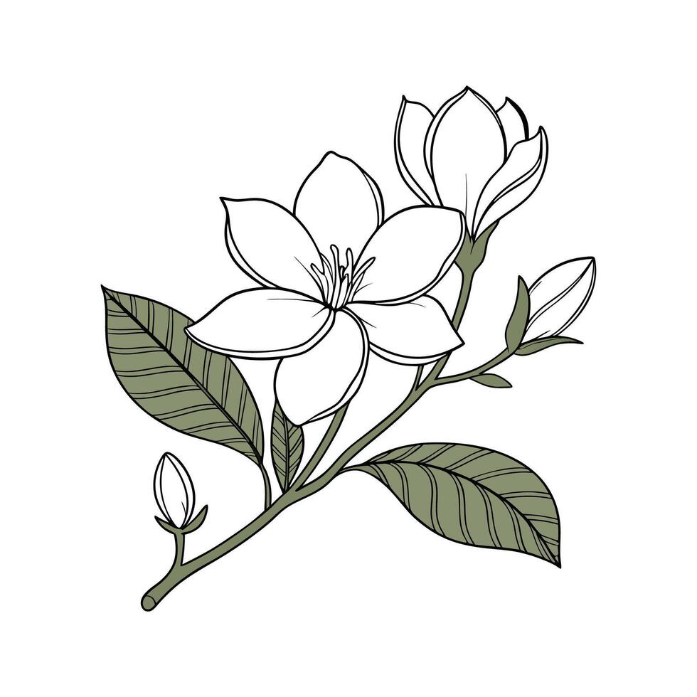 Vivid Gardenia Floral Design on White vector