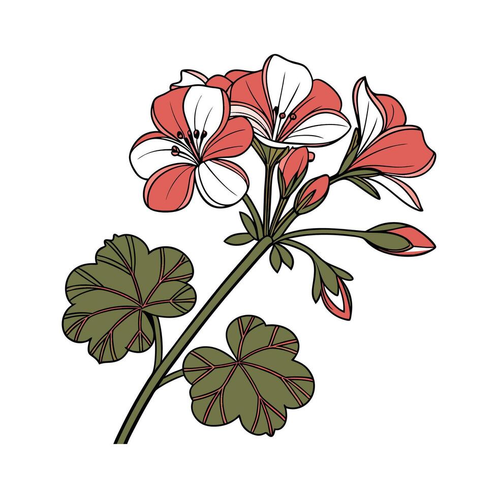 Vivid Geranium Floral Art on Bright White vector