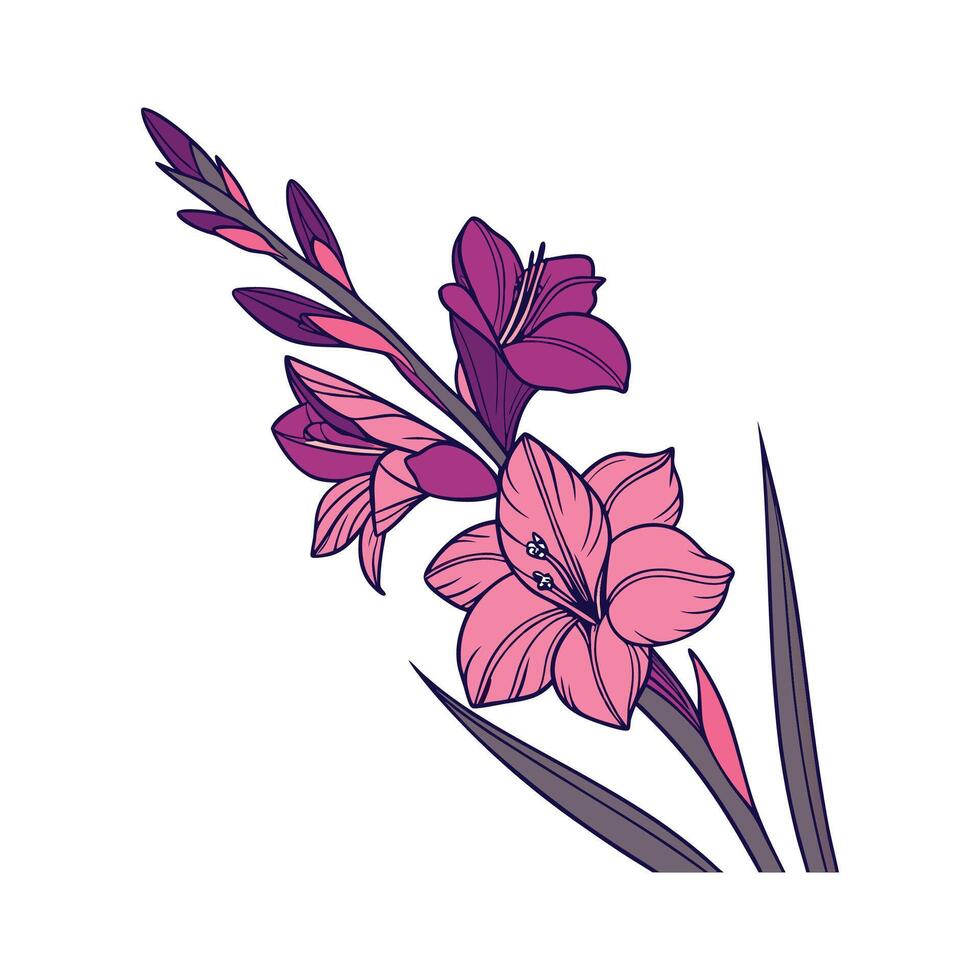 Vivid Gladiolus Flower Design on Clean White vector