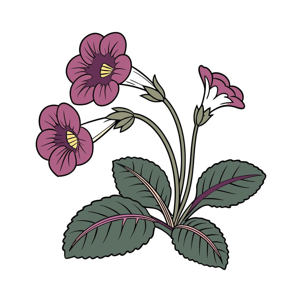Elegant Gloxinia Flower Design on Bright White vector