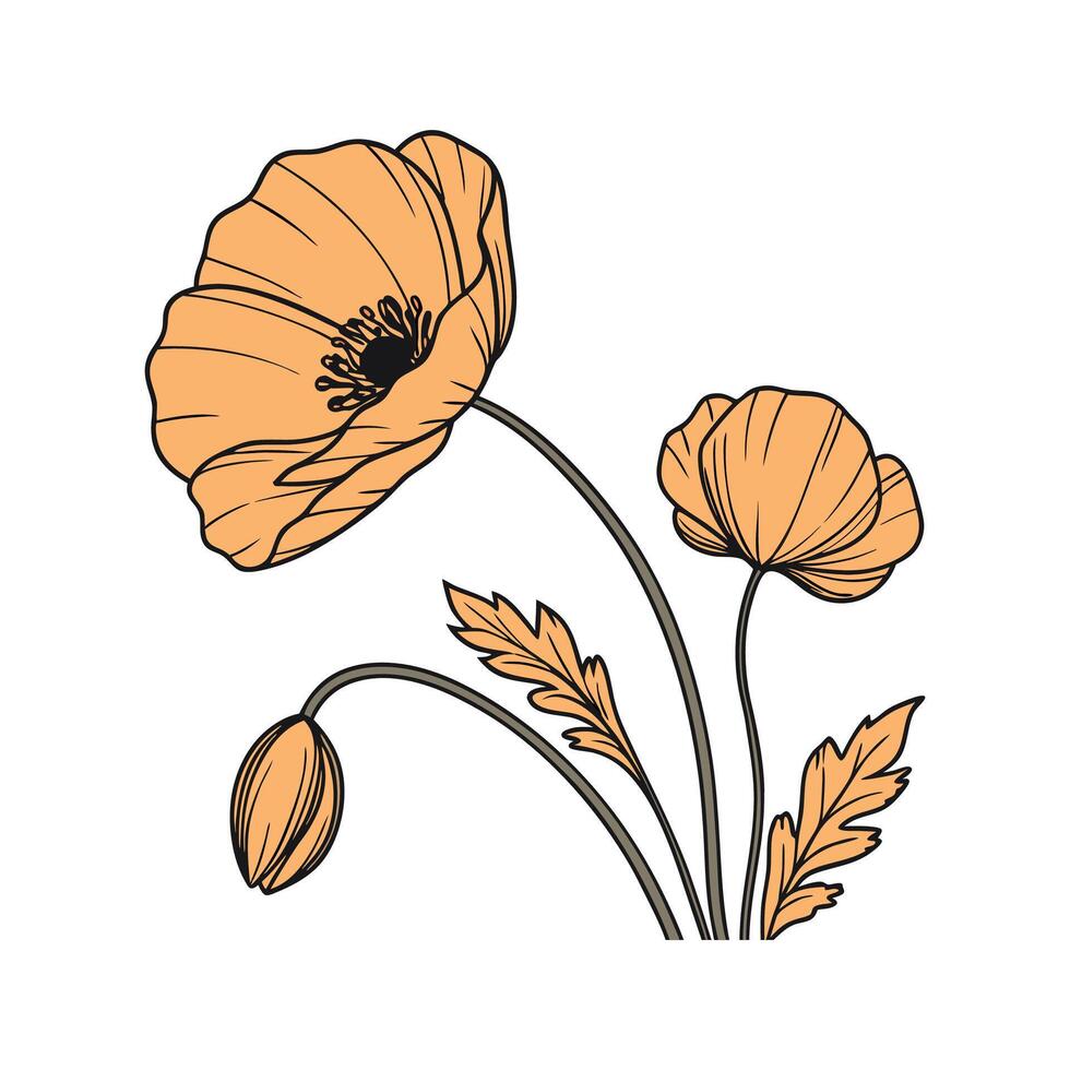 Elegant Golden Poppy Design on White vector