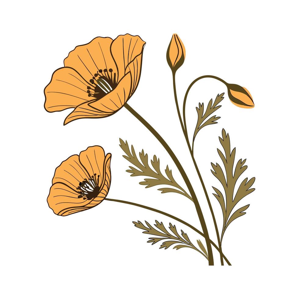 Stunning Golden Poppy Flower Design on Bright White vector
