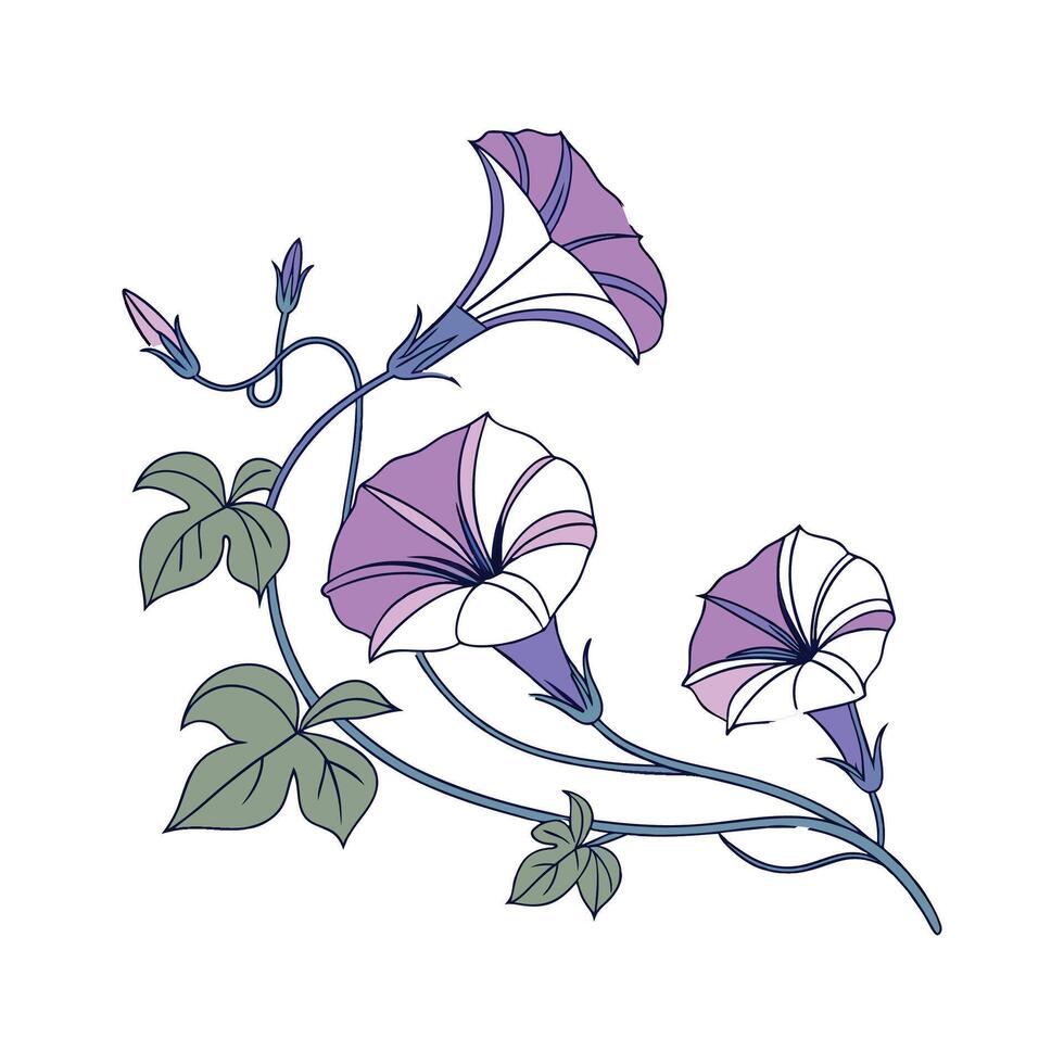 Charming Ground Morning Glory Design on White vector
