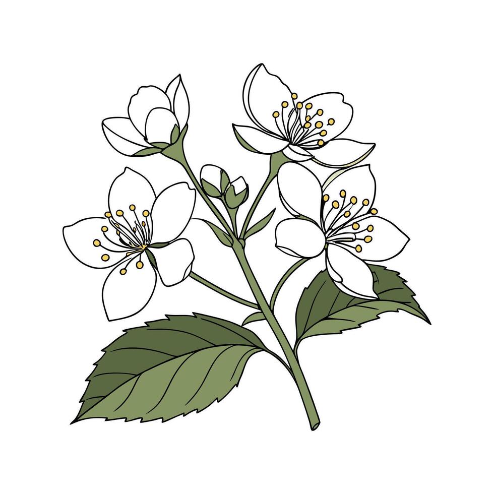 Charming Guelder Rose Design on White vector