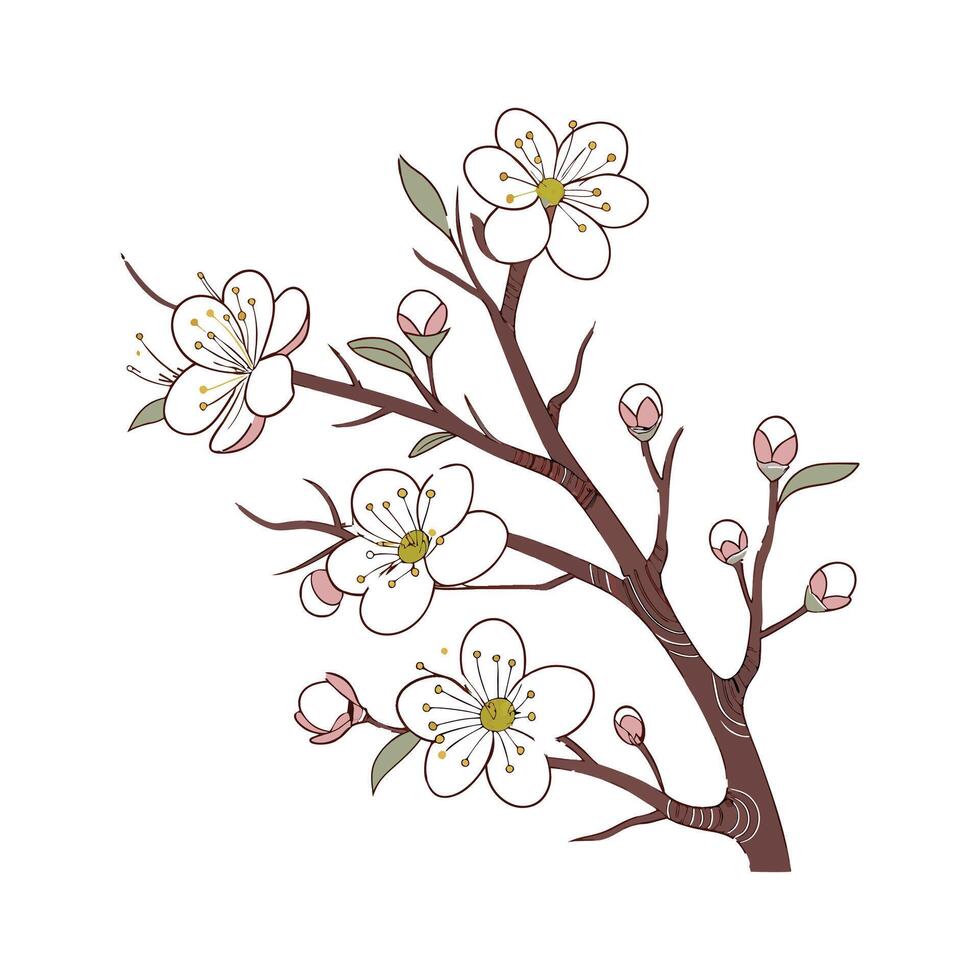 Charming Hawthorn Flower Design on White vector