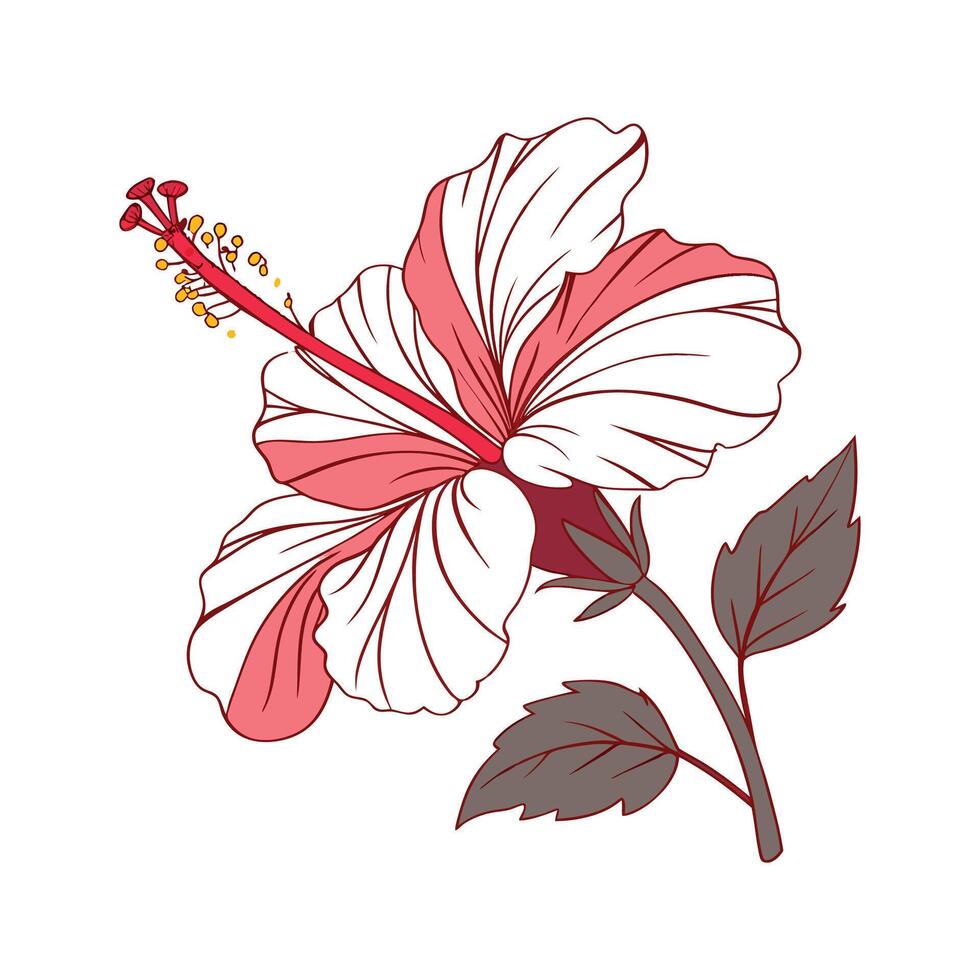 Vibrant Hibiscus Illustration on White Background vector