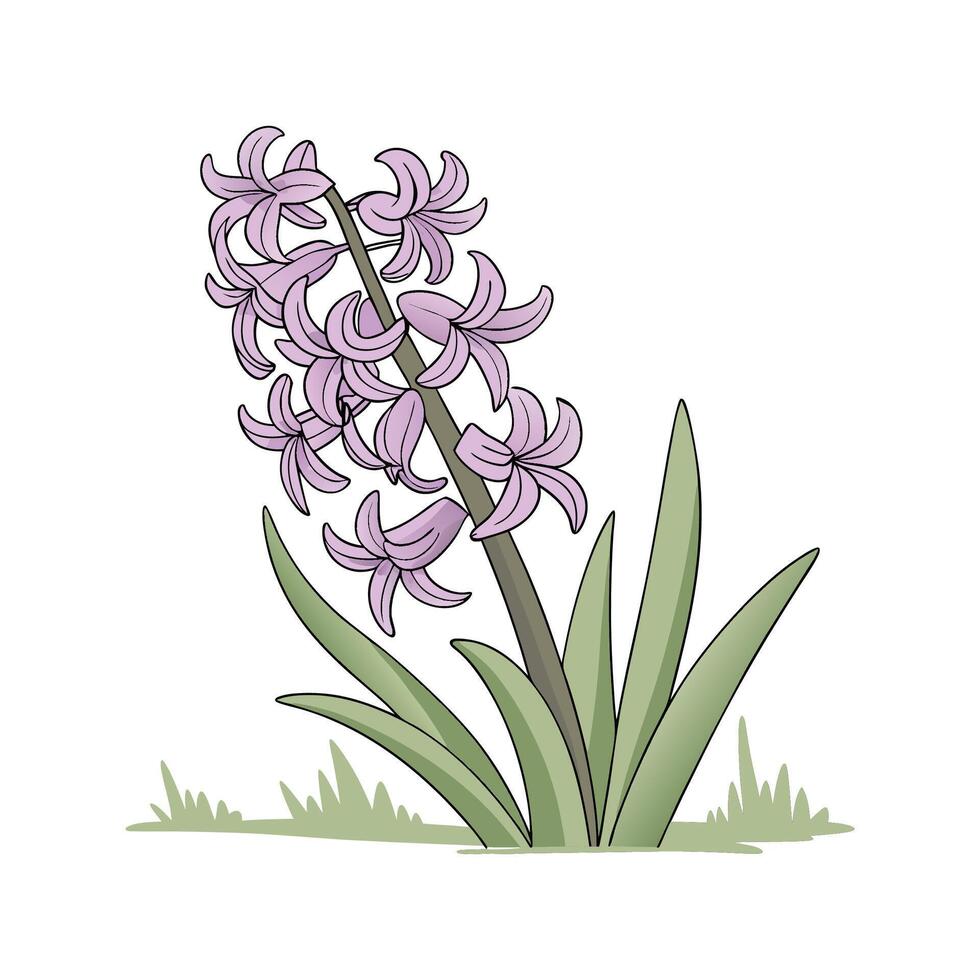 Charming Hyacinth Floral Design on Bright White vector