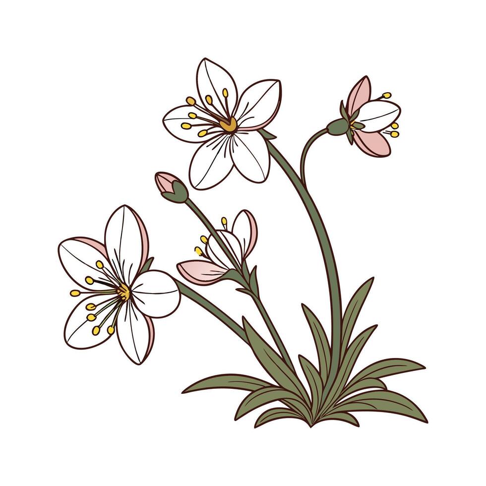 Vibrant Houstonia Design on Bright White Canvas vector