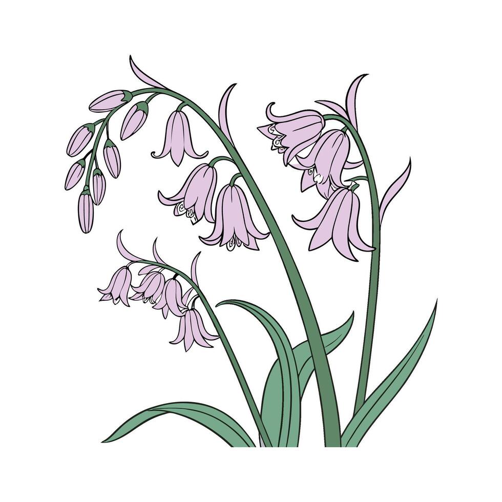 Unique Hyacinthoides Design on Bright White Canvas vector