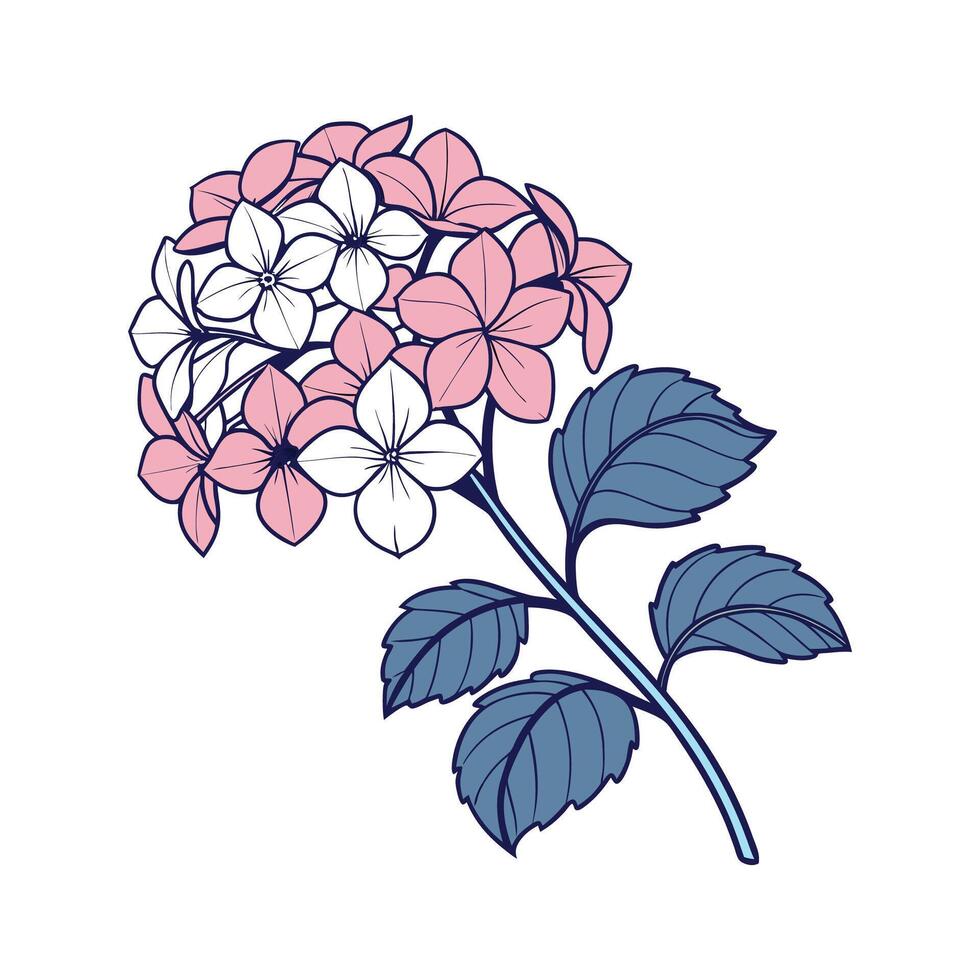 Elegant Hydrangea Flower Design on White Surface vector