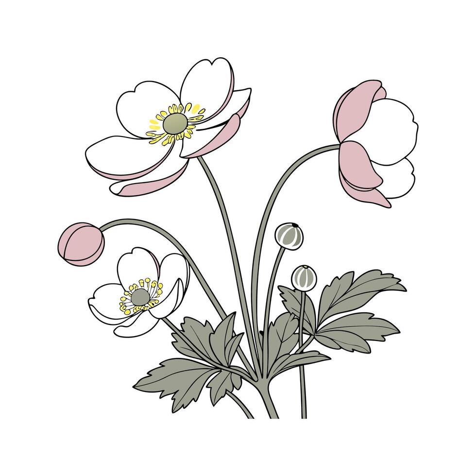 Charming Japanese Anemone Artwork vector
