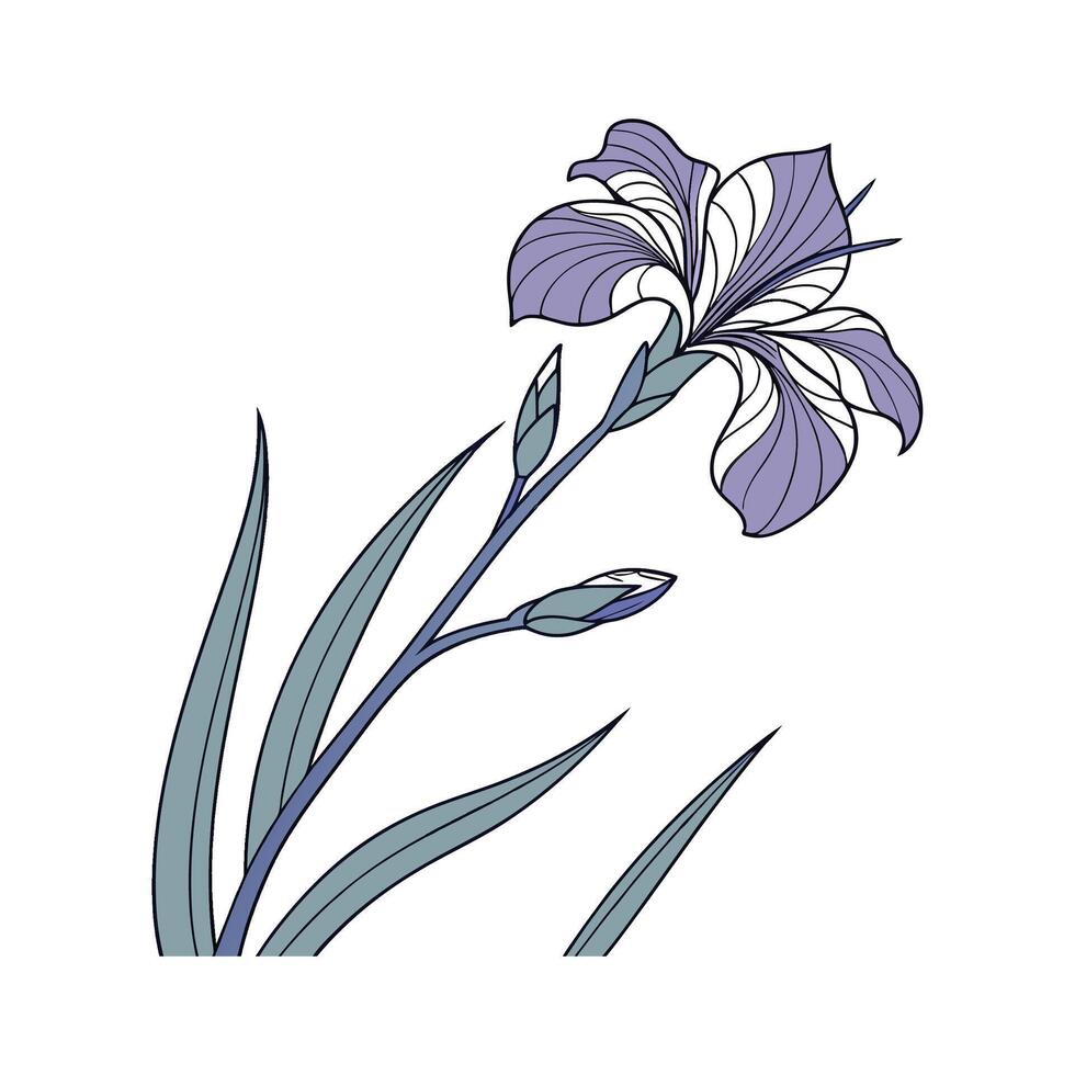 Vibrant Japanese Iris Artwork vector