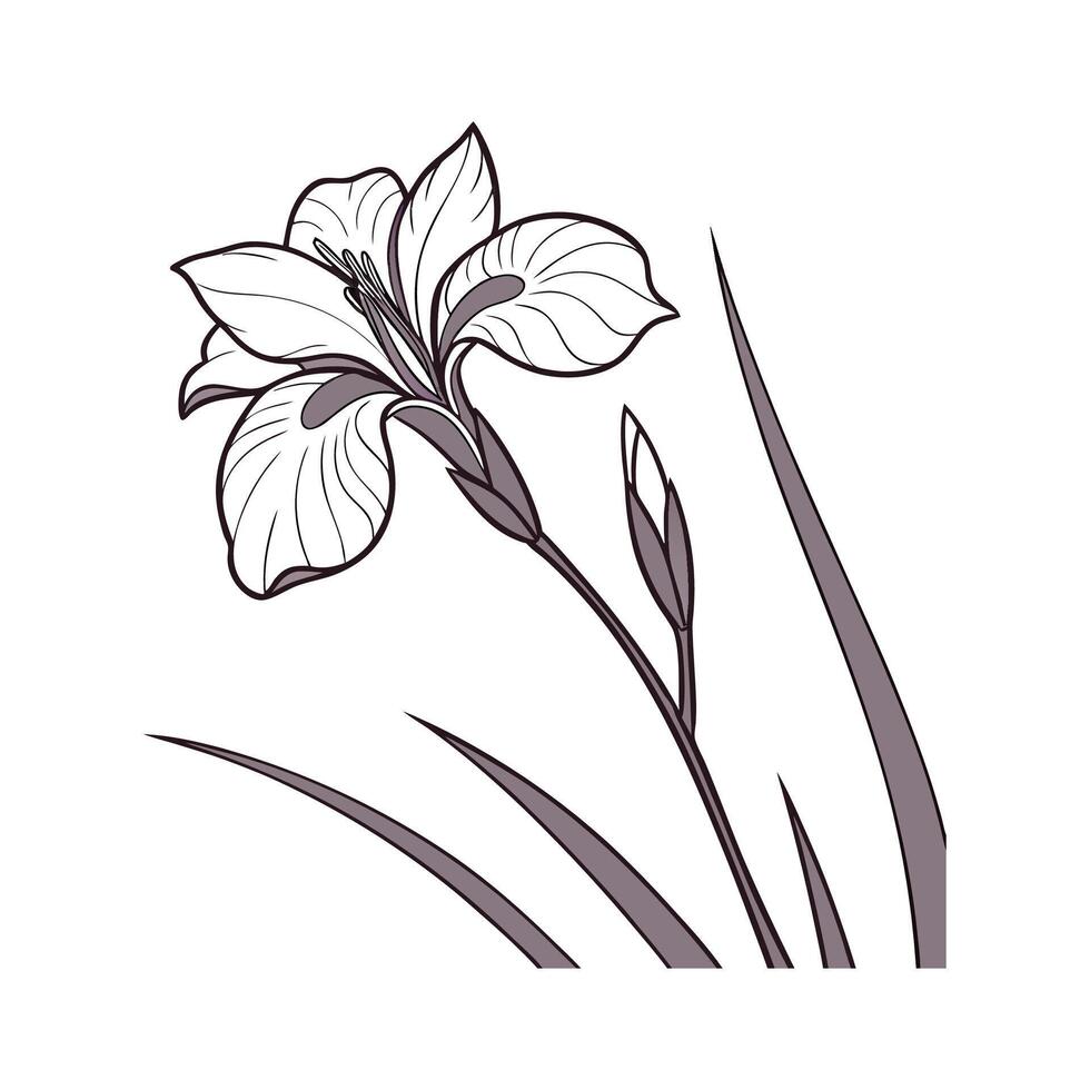 Charming Japanese Iris Floral Design vector