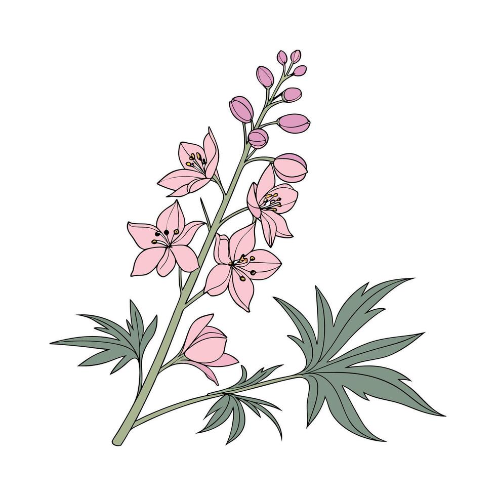 Charming Larkspur Design on White vector